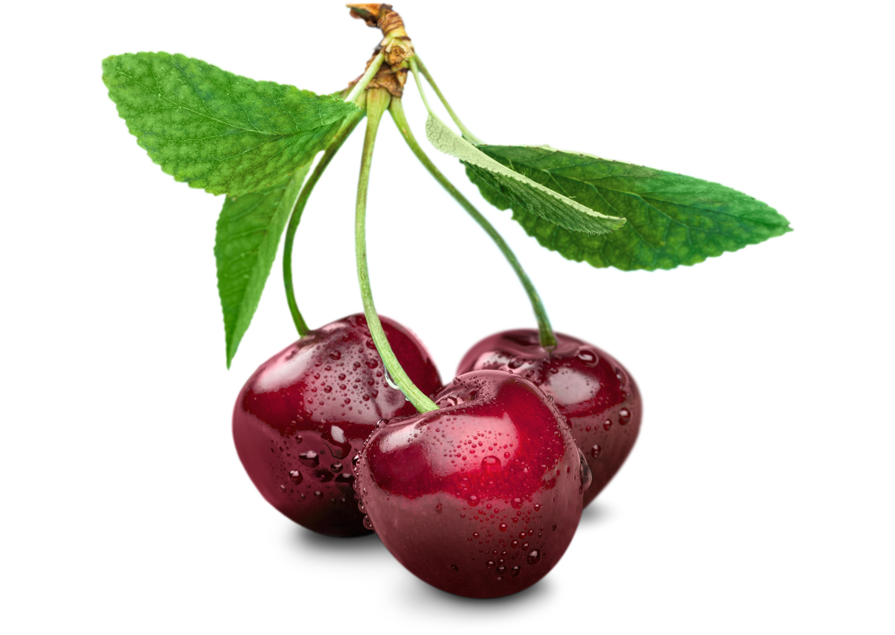 cherry